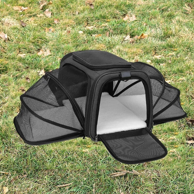 Cat carrier bag in black or grey with colour piping, made from 600D cation fabric