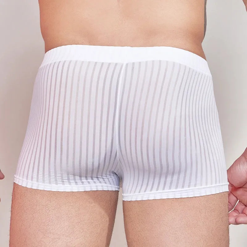 Men's black and white striped low-rise nylon briefs, thin transparent fabric.