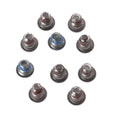 Ten small metal replacement screws for Apple MacBook Pro A1502, A1398, and A1425 bottom shell.