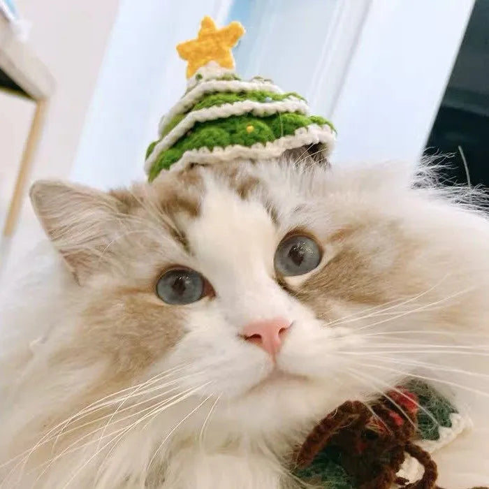 Green handmade woolen pet hat for cats small dogs and rabbits