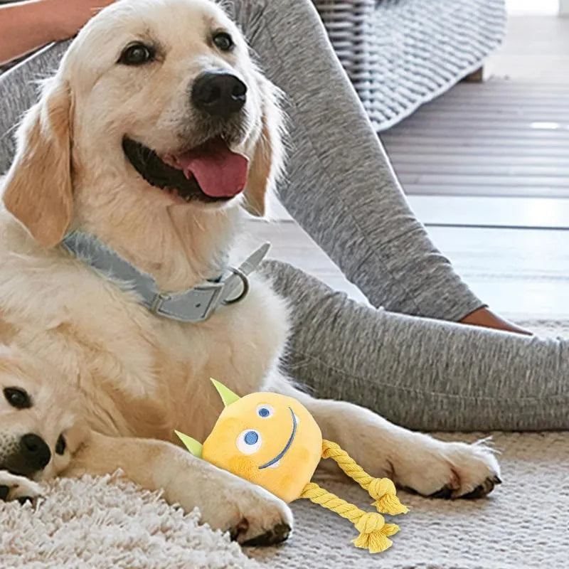 Squeaky dog toy with strong knot design, cotton rope and PP cotton filling, cartoon shape, yellow or blue