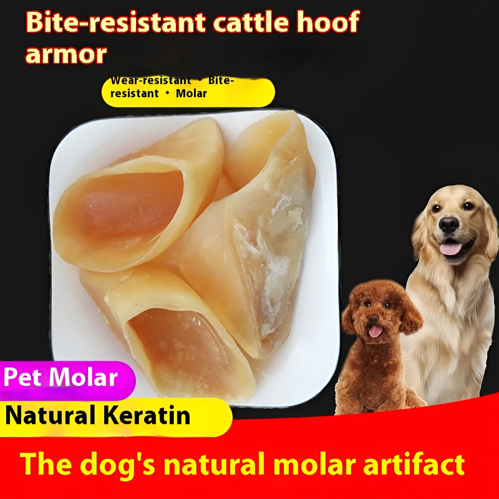 Natural cowhide dog chew toy with hoof shell appearance, shown in two size options for different dog breeds