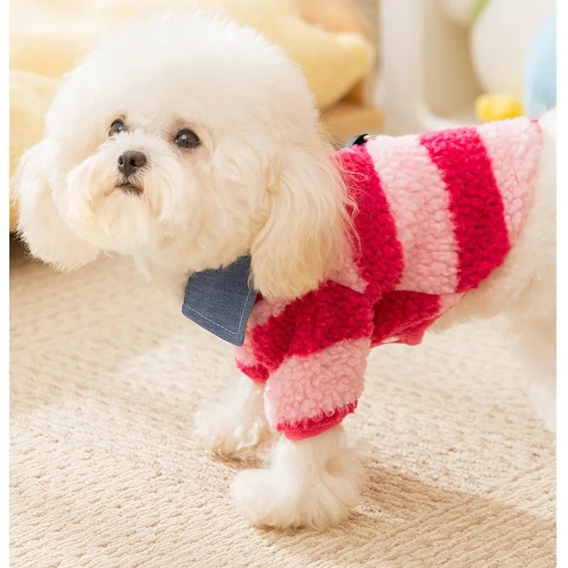 Dog winter thick warm cozy sweater with leash hole and collar for small medium breeds