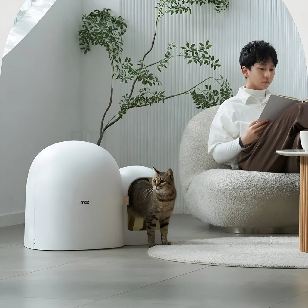Fully enclosed oversized cat litter box in Aurora White colour with dimensions 67.7cm by 49cm.