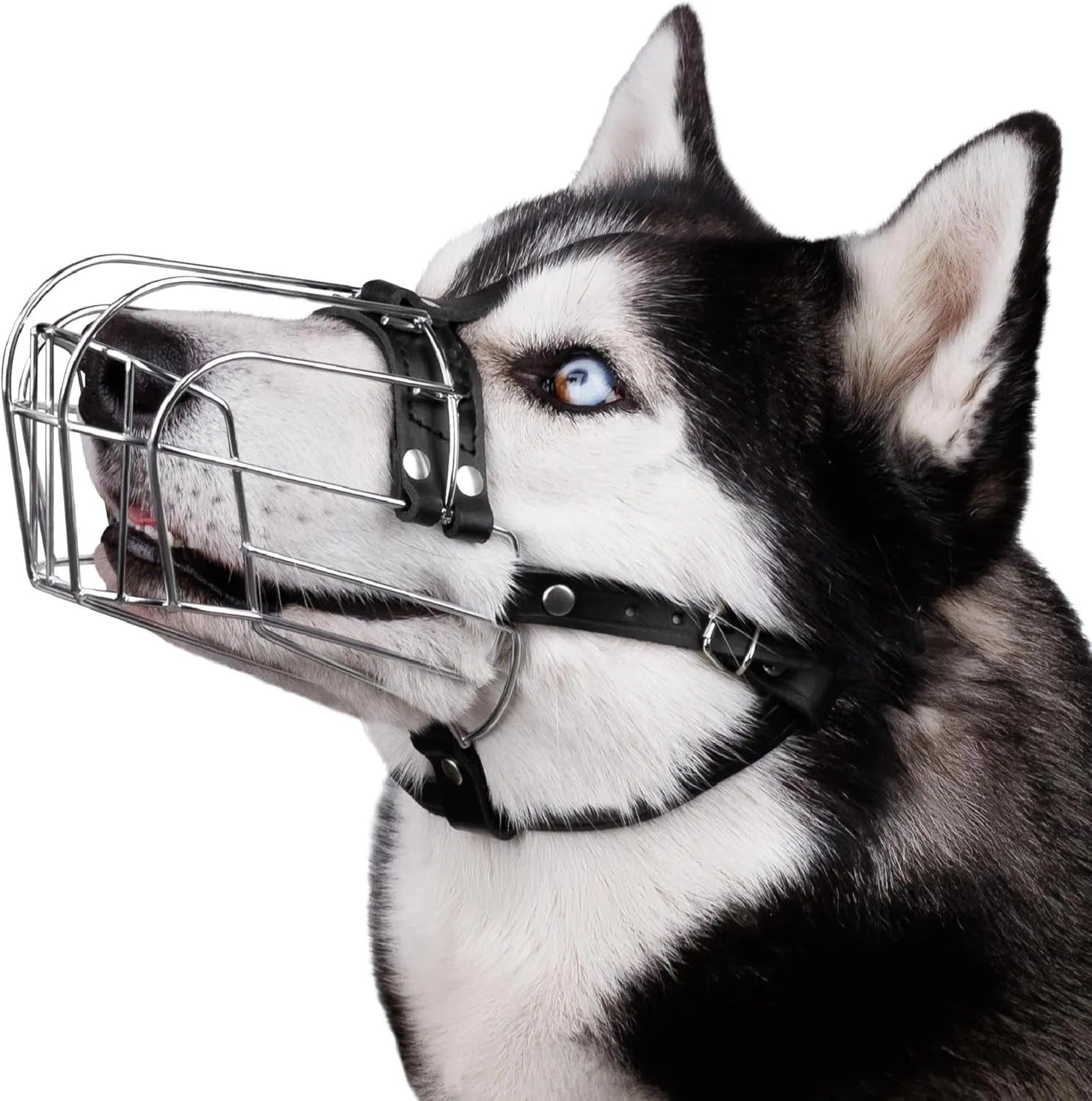 Black metal dog muzzle designed for Golden Retriever and German Shepherd breeds with adjustable straps.