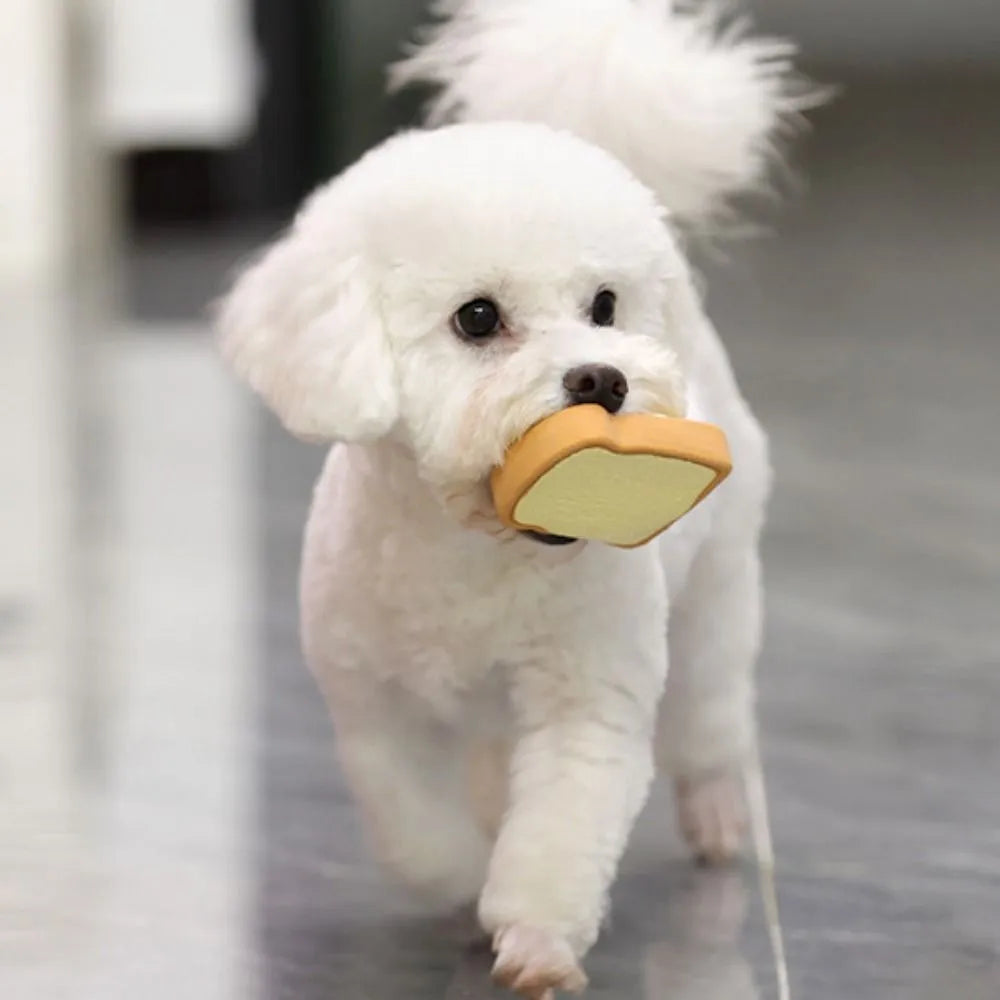 Yellow or green cartoon bread-shaped latex chew toy for dogs with a squeaker inside.