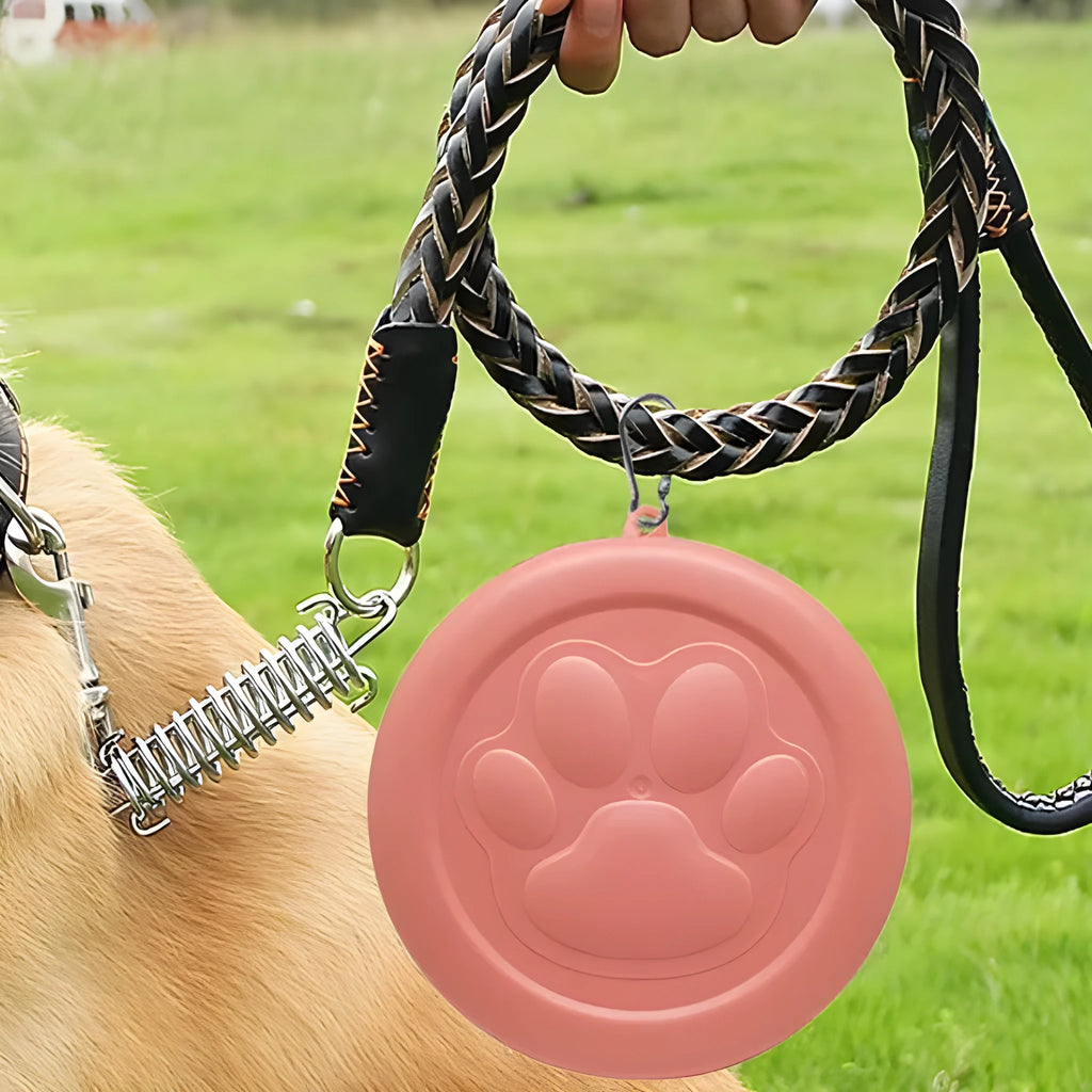 Collapsible portable dog bowl in pink and green colour options shown in both open and folded positions