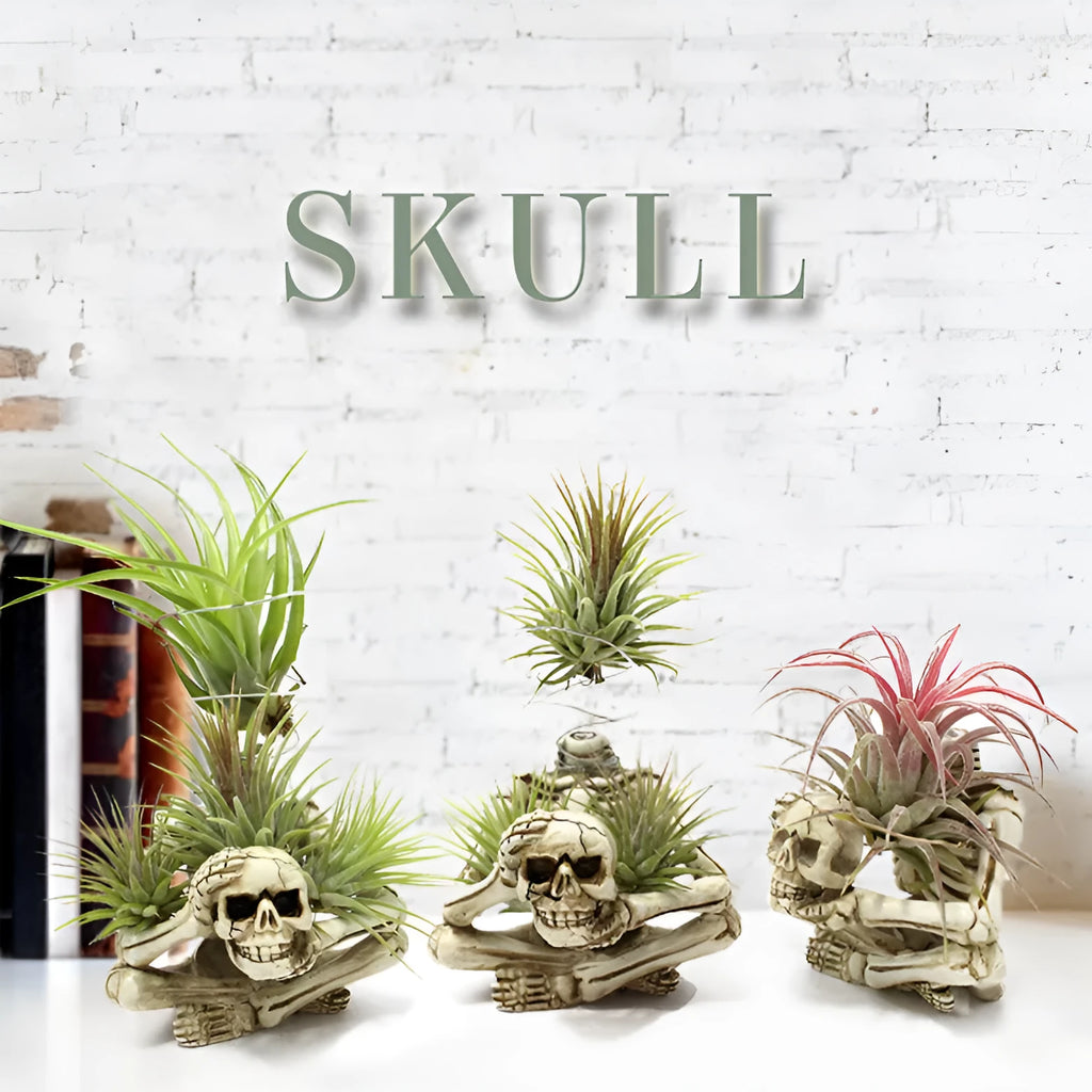 Gothic skull resin tillandsia bracket with iron stand for soilless air plant display