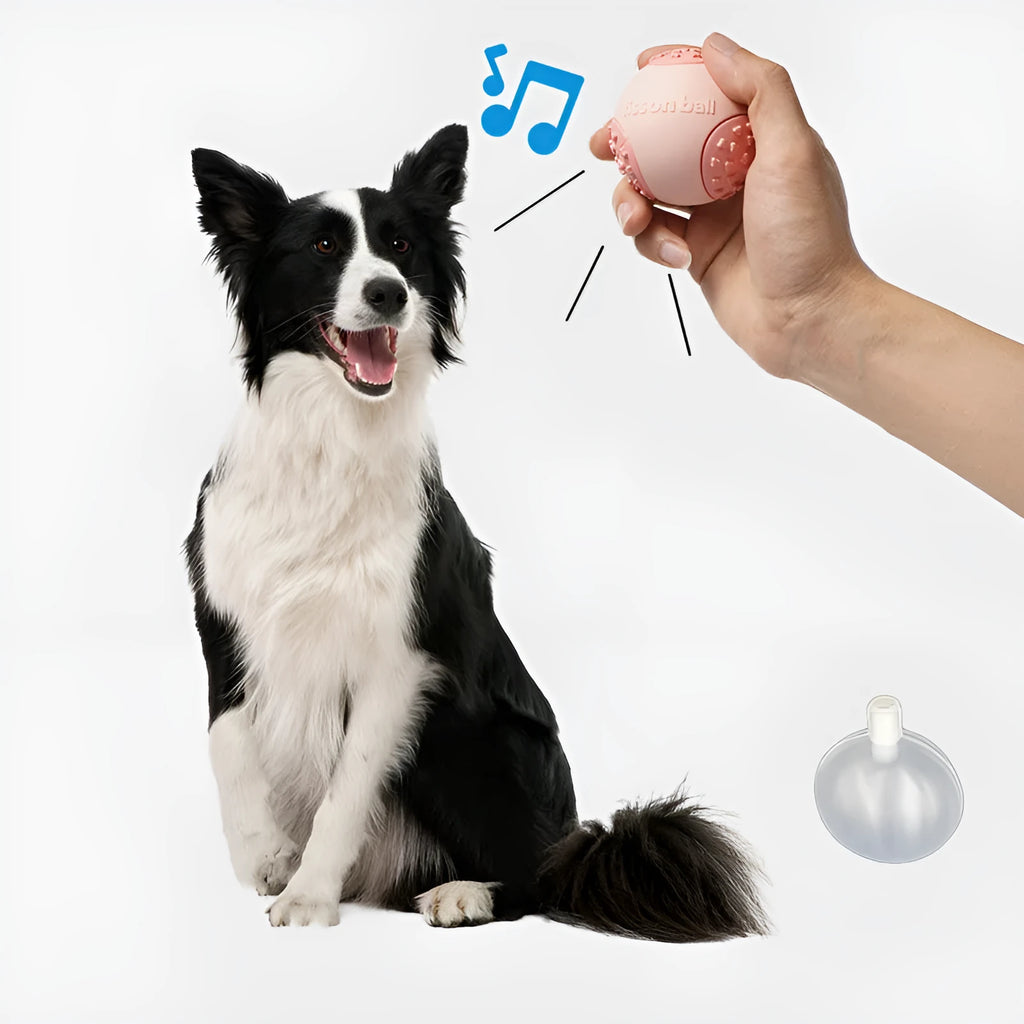 Green rolling ball dog toy for small medium dogs with 64mm diameter