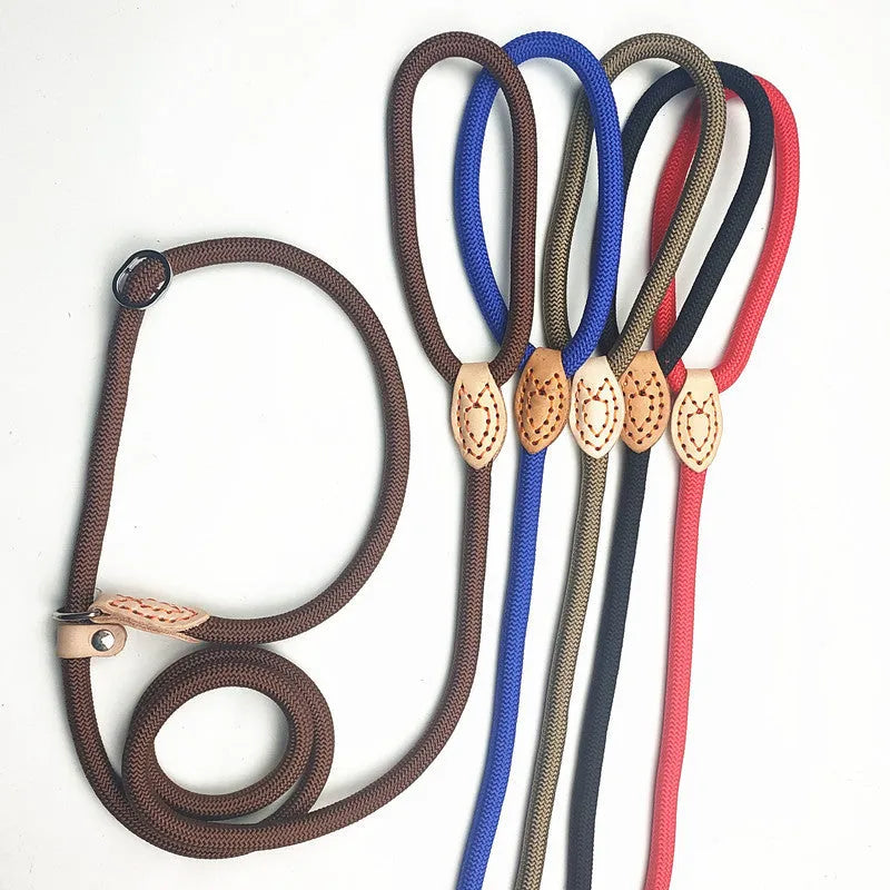 Dog training leash with integrated automatic tightening collar in multiple colour options