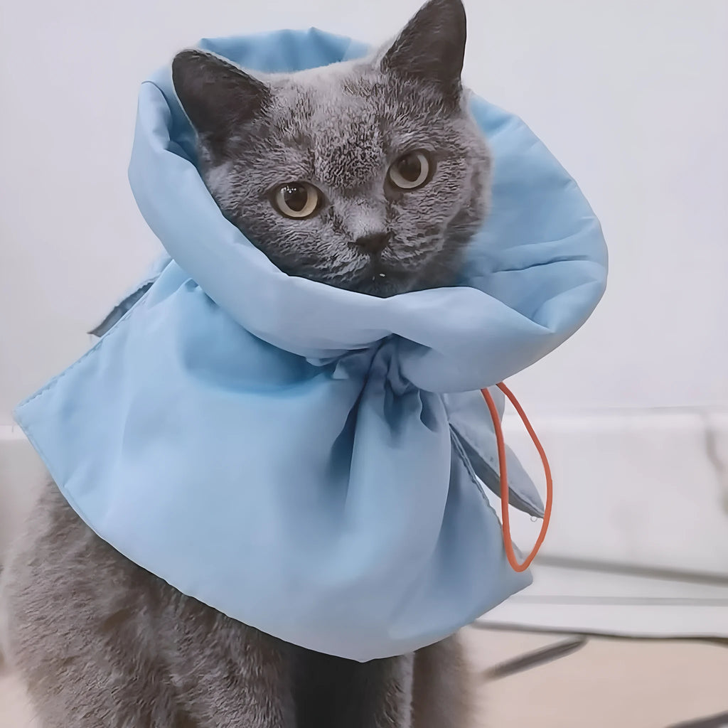 Adjustable cat recovery cone collar in light blue with elastic buckle for small dogs and cats