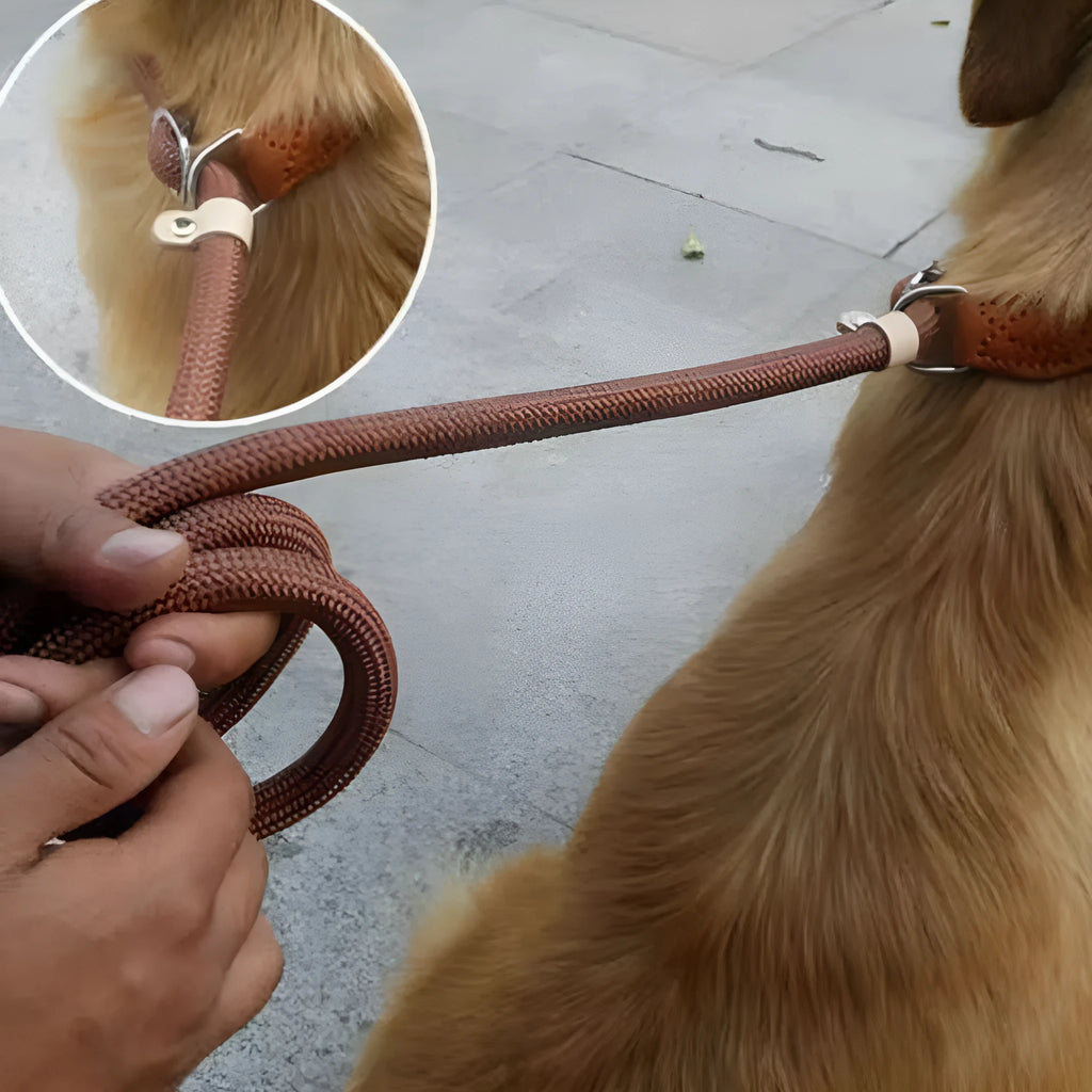Brown nylon dog leash with P chain attachment measuring 2.1 metres in length