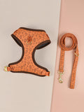 Colourful adjustable polyester haulage rope and harness set for medium or large dogs on a white background.