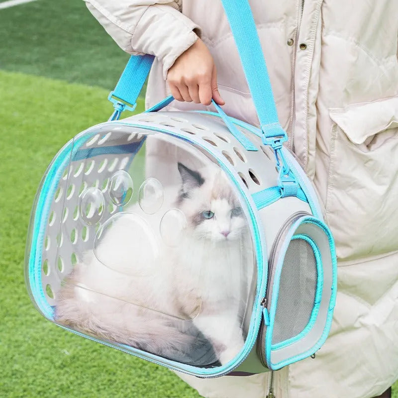 Hard EVA transparent cat carrier backpack in grass green, showing large space capsule design and backpack straps.