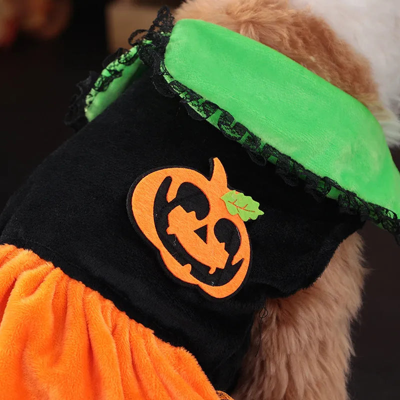 Pet dog wearing a classic orange pumpkin skirt Halloween costume made from Crystal Velvet fabric.