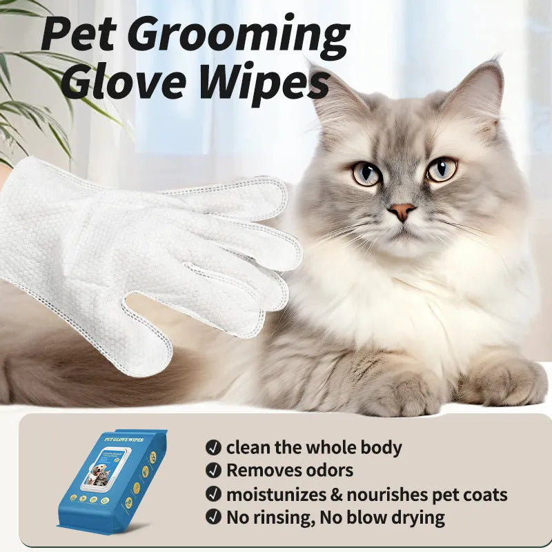 Pack of disposable pet gloves for dog and cat bathing and grooming tasks