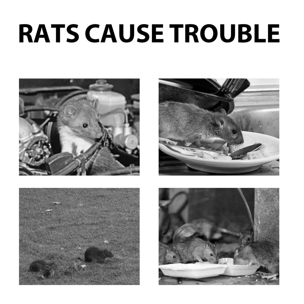 60ml bottle of natural rat repellent spray with essential oils of clove, peppermint, camphor and chilli.
