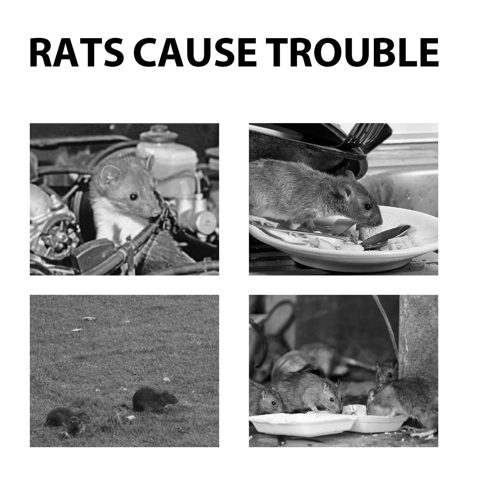 60ml bottle of natural rat repellent spray with essential oils of clove, peppermint, camphor and chilli.