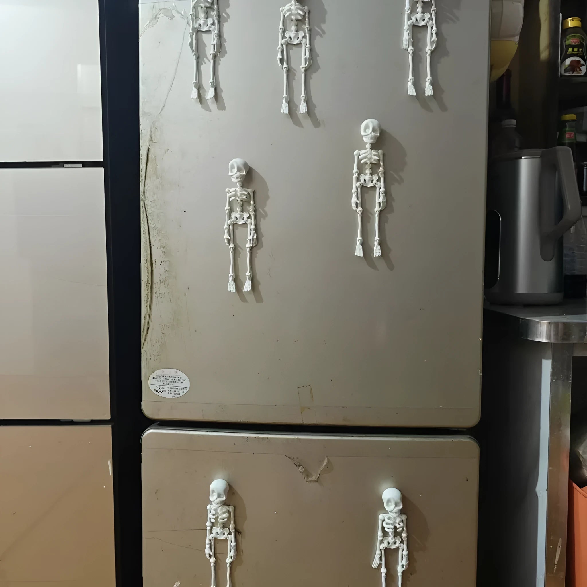 3D printed skull refrigerator magnet ornament measuring 18cm high by 4.5cm wide in multiple colour options