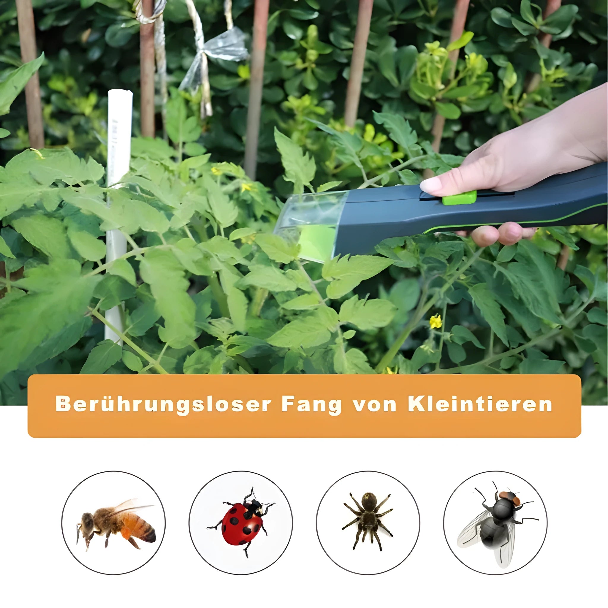Green handheld insect catcher for garden pest control with plastic construction