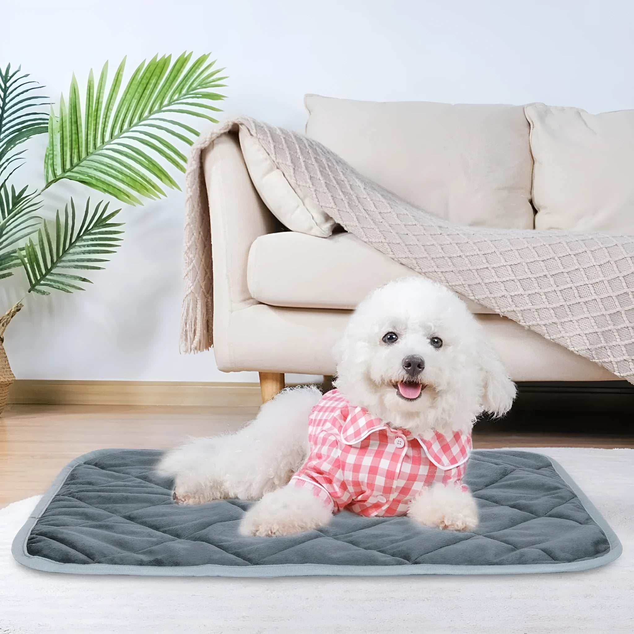 Grey personalised pet cushion showing cloth fabric texture and size dimensions