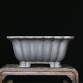 Square purple sand ceramic bonsai pot with 37x15cm inner diameter on desktop