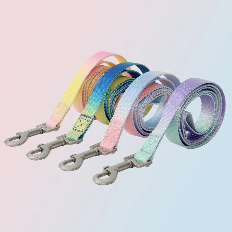 Nylon dog leash set showing gradient colour patterns in pink and yellow combination with adjustable sizing