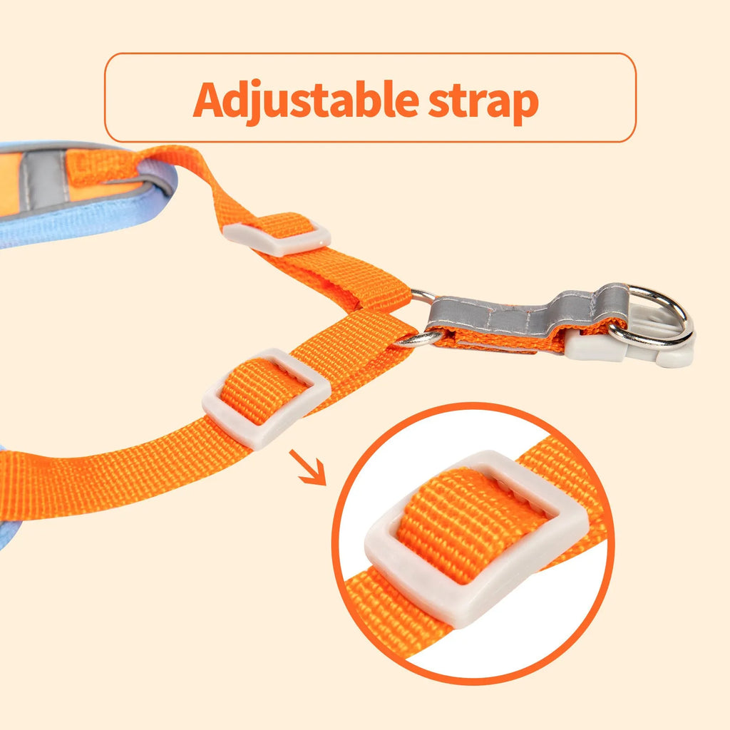 Adjustable dog chest strap harness with haulage rope in purple, shown on a model dog.