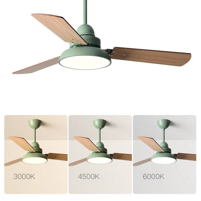 Nordic ceiling fan light with wooden blades and acrylic lampshade in white, available in 42Inch or 48Inch