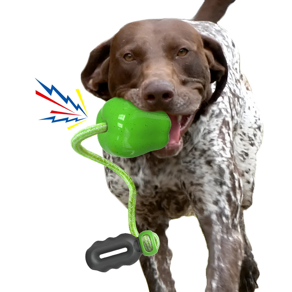 Green and red plastic apple-shaped squeaky dog toy for molar care and outdoor play