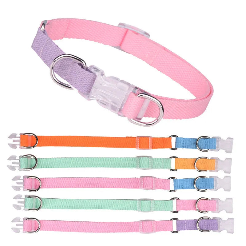 Polyester ribbon dog collar set with hand holding rope and chest strap in a two-tone colour.