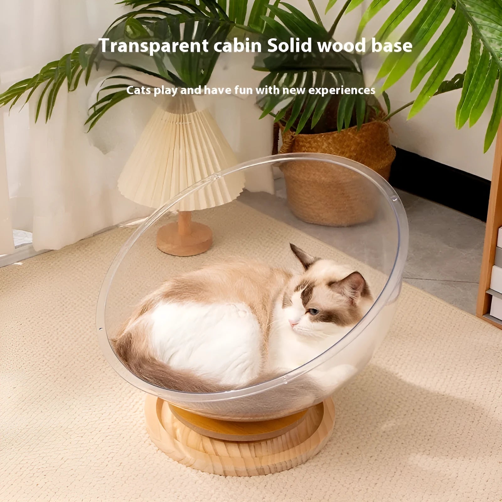 Transparent acrylic cat space capsule bed showing curved bathtub design