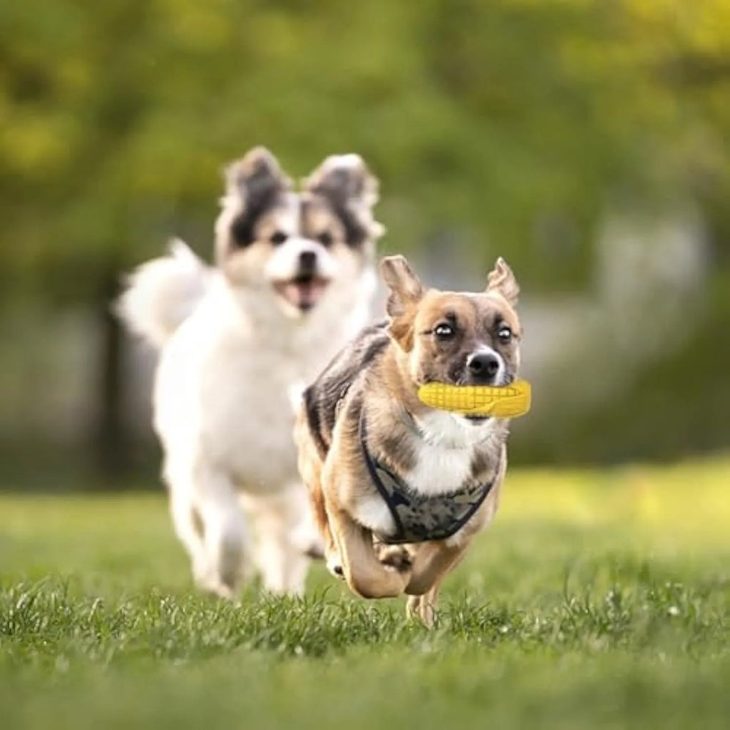 Blue and yellow durable corn stick dog chew toy for aggressive medium and large breed dogs