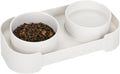 Green ceramic elevated cat bowl set with two bowls on a tilted, non-slip stand.