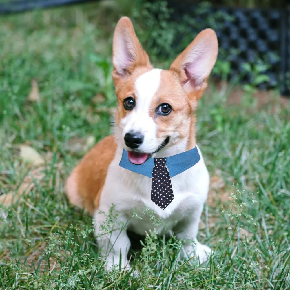 Denim dog collar with star pattern in bow and tie styles showing adjustable fastener tape