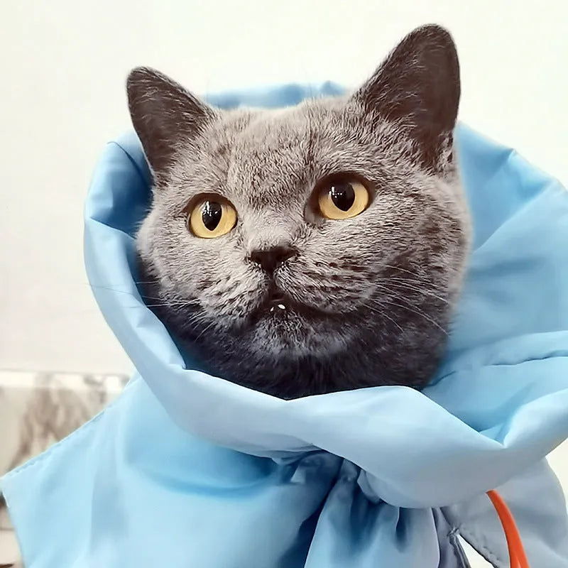 Adjustable cat recovery cone collar in light blue with elastic buckle for small dogs and cats