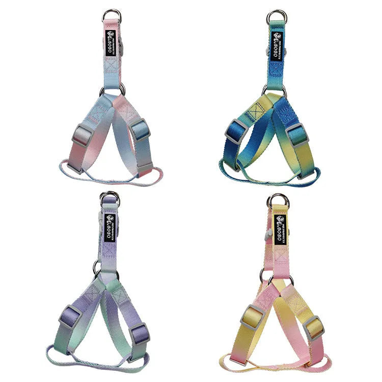 Nylon dog leash set showing gradient colour patterns in pink and yellow combination with adjustable sizing