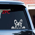Two reflective car stickers with dog pattern, black and colourful, 15.6x10.4cm PET material