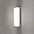 Vertical stainless steel outdoor wall light with polycarbonate diffuser, 60cm height.
