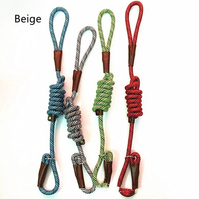 Nylon dog training leash 160cm long and 1.2cm wide for medium dogs, shown in blue, red, green, or beige