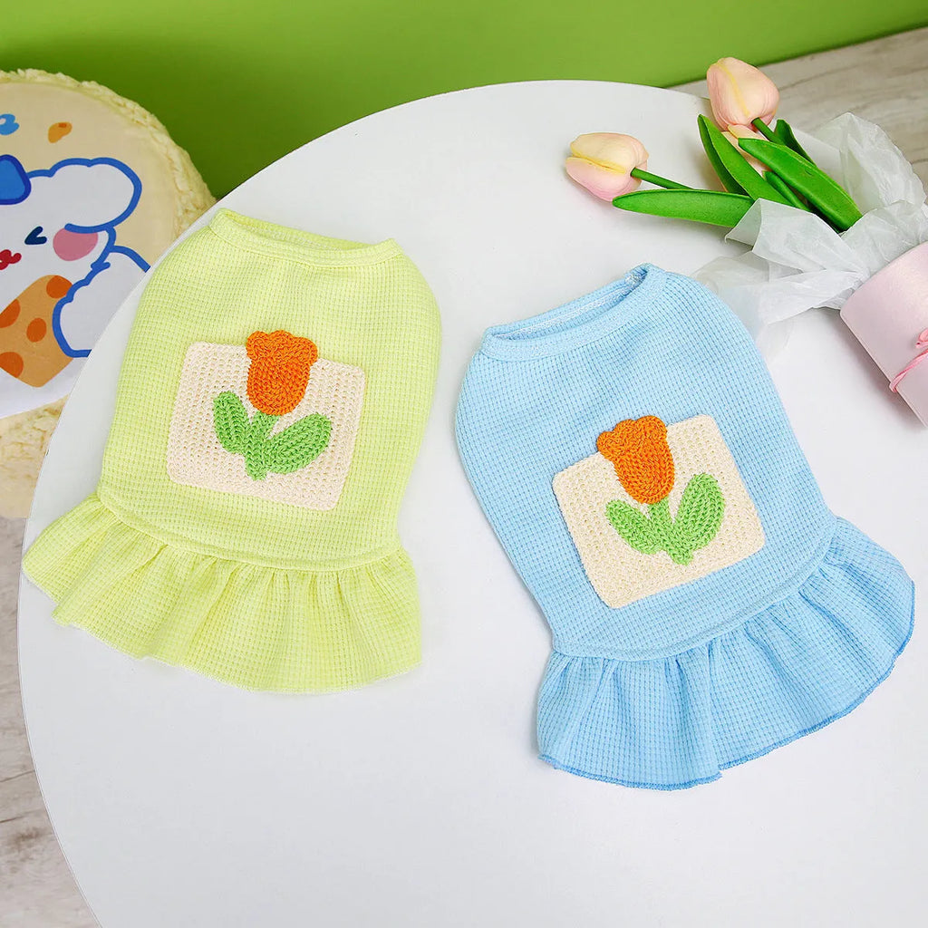 Cotton dog skirt with pocket in princess style, sky blue colour, on a small dog