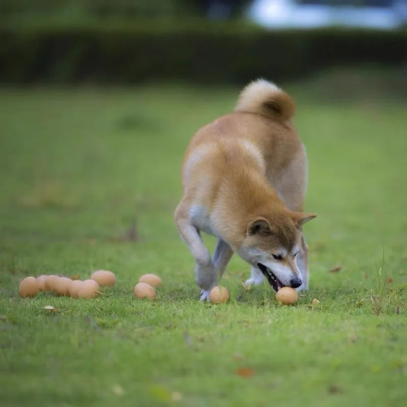 Simulation egg dog toy with light-up features and textured surface for tooth cleaning