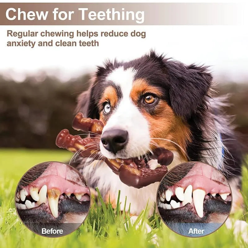 Scarlet nylon dog chew bone toy with beef scent for molar nibbling