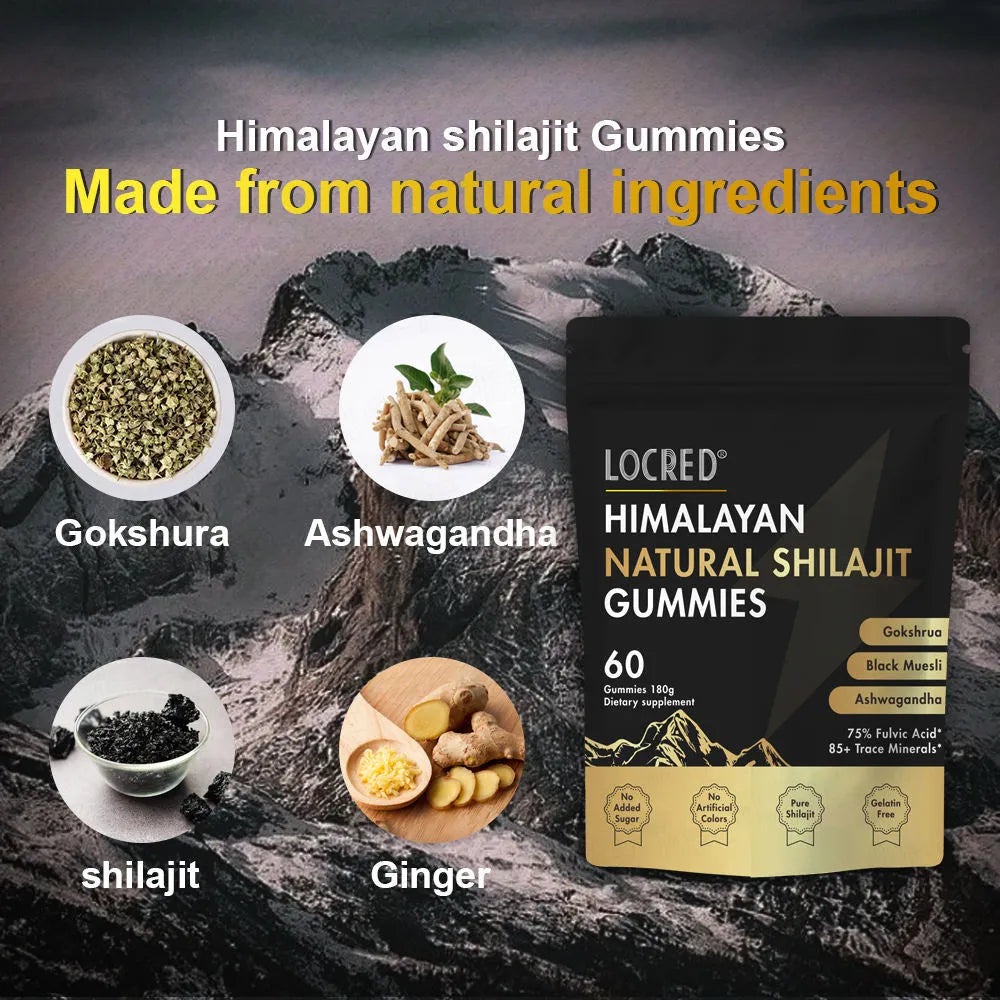 60 count natural flavored Shilajit gummies for women and men in a pouch, vegan with fulvic acid and Ayurvedic herbs