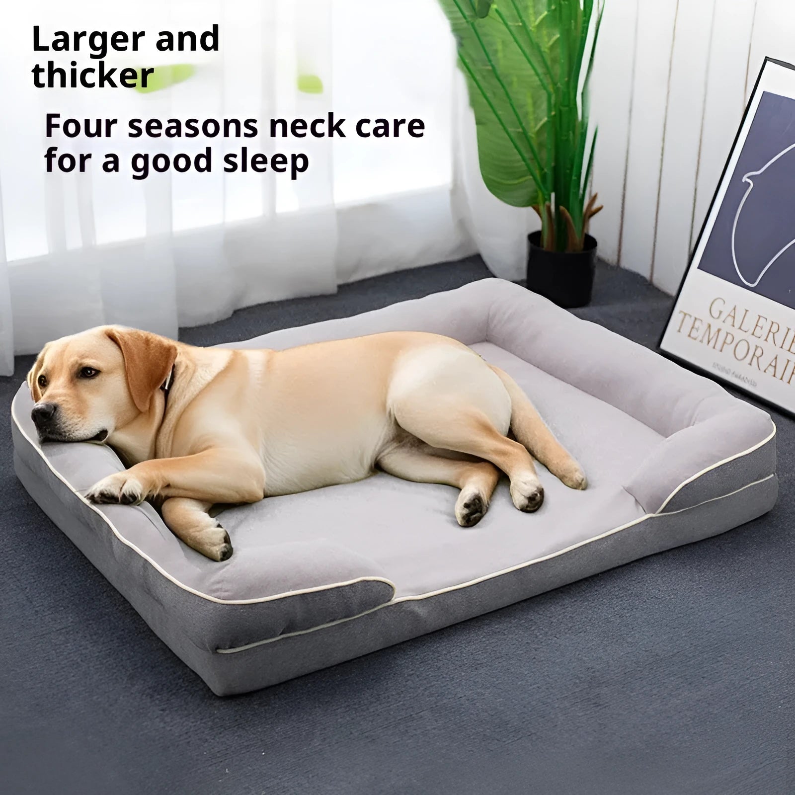 Four Seasons removable washable pet bed for dogs in green colour