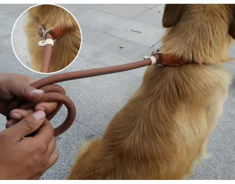 Brown nylon dog leash with P chain attachment measuring 2.1 metres in length