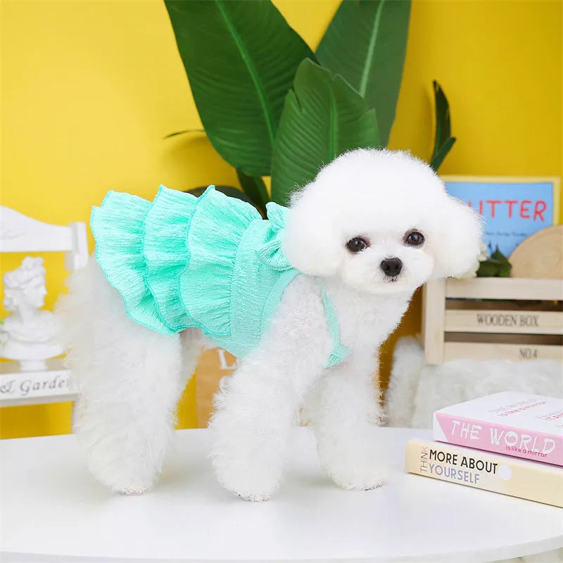 Small dog wearing princess dress with layered candy skirt in choice of rose red, yellow or green colours