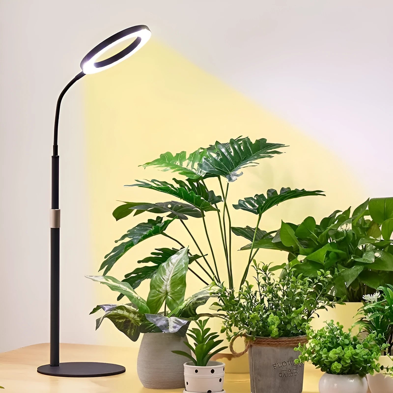 6-inch angel ring retractable floor plant grow light with aluminium alloy stand extended to 160cm height