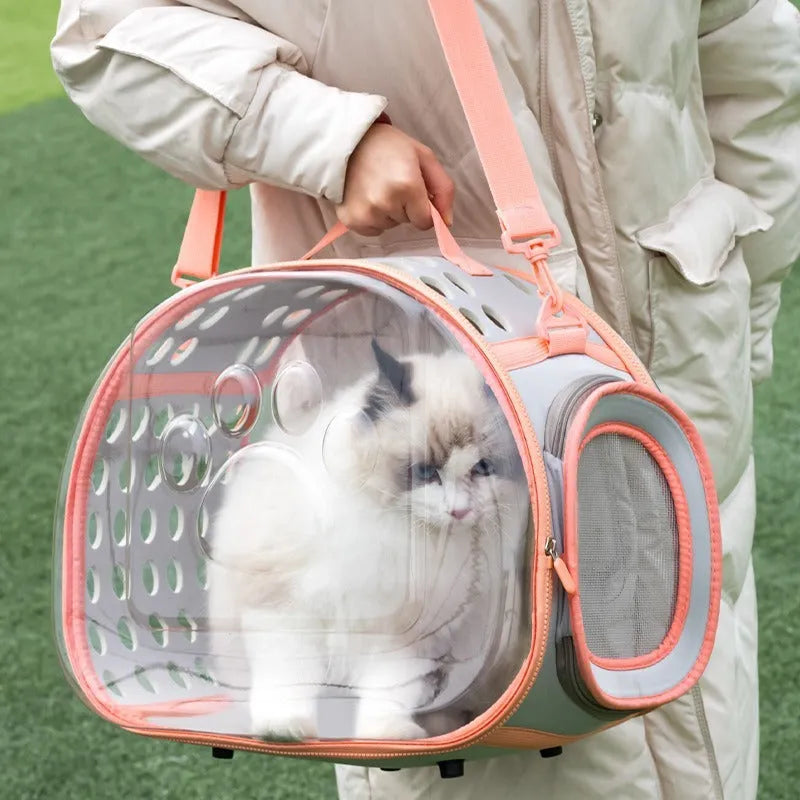 Hard EVA transparent cat carrier backpack in grass green, showing large space capsule design and backpack straps.