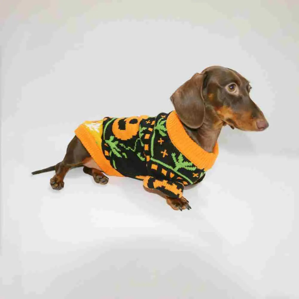 Pumpkin Halloween sweater for dogs and cats, polyester, sizes XS to XL, on a pet